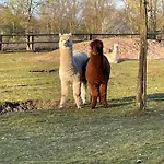 Lands Huys * Dersum
