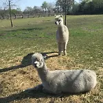 Lands Huys *