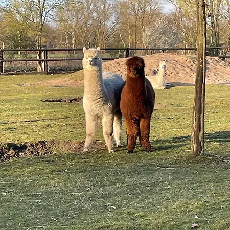 Lands Huys * Dersum
